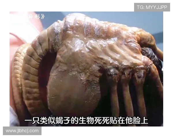 探秘异形前传2011揭开人类起源背后未知恐怖真相之谜