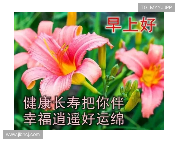 生命有明天每个明天都是新的开始追寻希望与勇气的故事