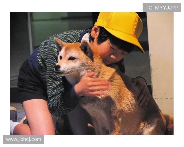 《狗狗心事》：一部关于爱、失去与生命轮回的温柔絮语